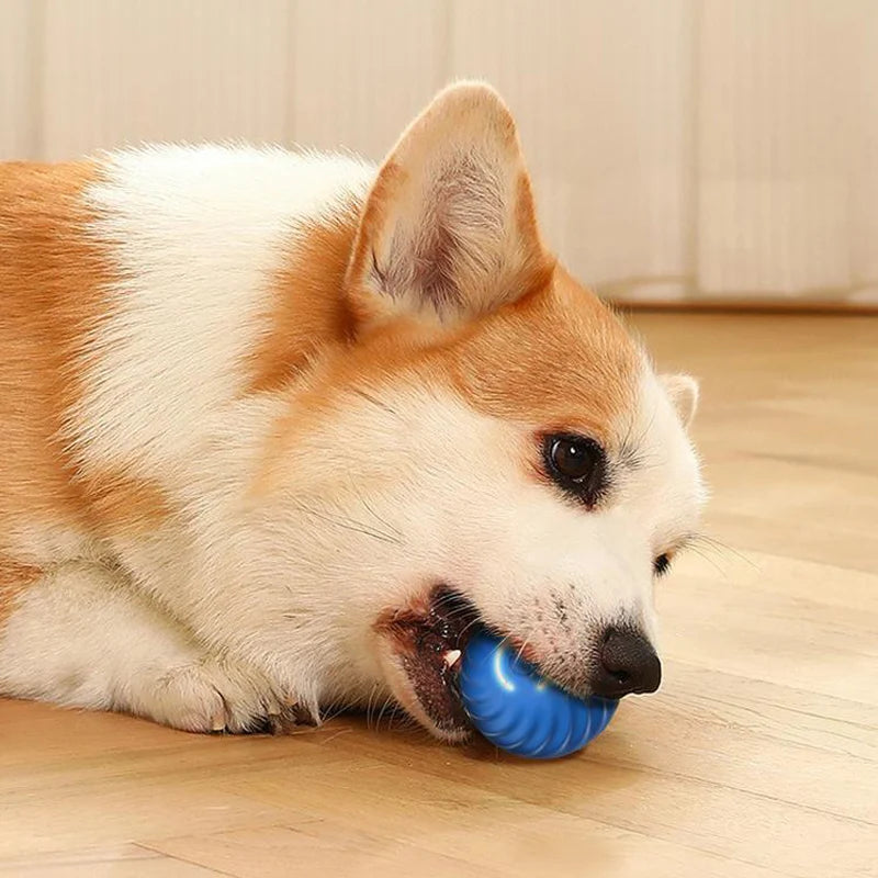 Smart USB Automatic Ball for Dogs – The Ultimate Interactive Playtime Companion!