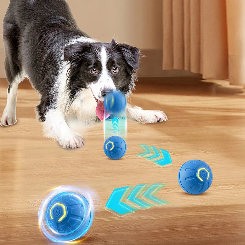 Smart USB Automatic Ball for Dogs – The Ultimate Interactive Playtime Companion!