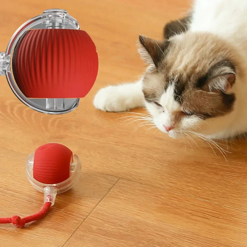 Cat Teaser Toy – Keep Your Cat Active and Entertained!