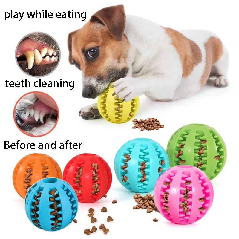 Interactive Dog Food Ball and Teeth Cleaning Puppy Chew Toy