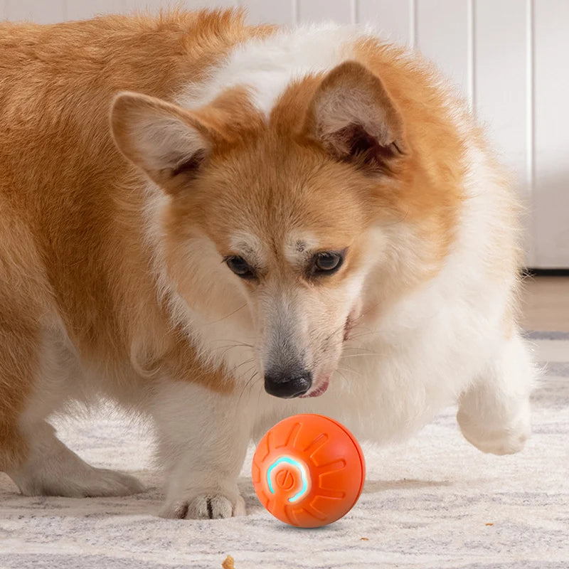 Smart USB Automatic Ball for Dogs – The Ultimate Interactive Playtime Companion!