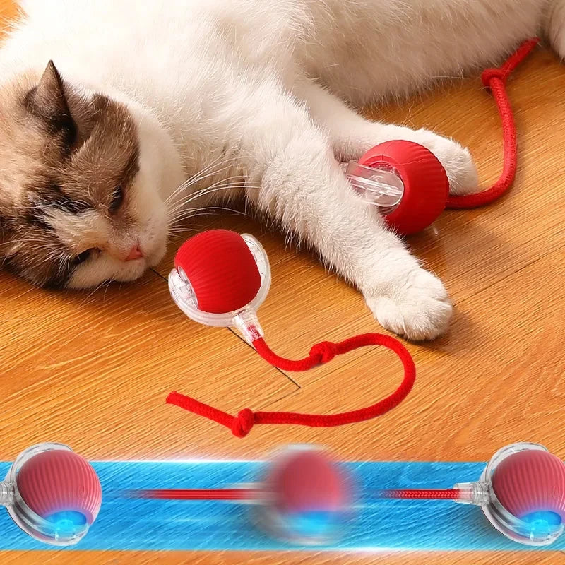 Cat Teaser Toy – Keep Your Cat Active and Entertained!