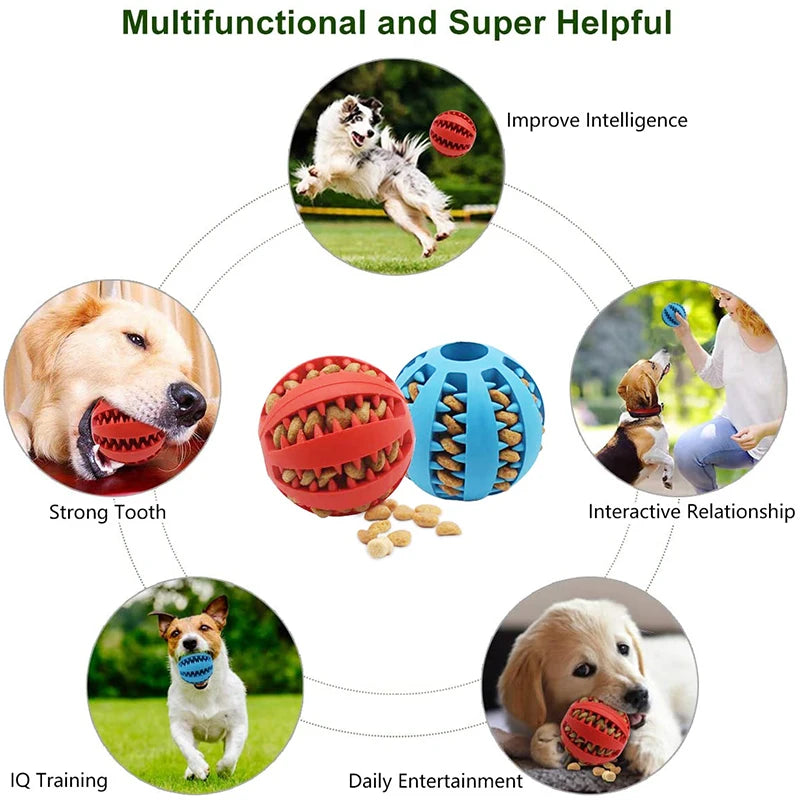 Interactive Dog Food Ball and Teeth Cleaning Puppy Chew Toy