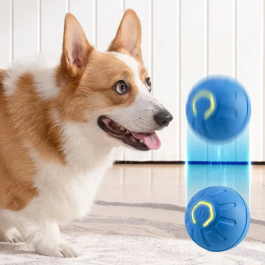 Smart USB Automatic Ball for Dogs – The Ultimate Interactive Playtime Companion!